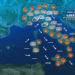 Meteo, capodanno 2022 tra sole e nebbie