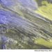 METEO AM, previsioni del tempo in Italia per il giorno 17/03/2022