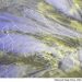 METEO AM, previsioni del tempo in Italia per il giorno 18/03/2022