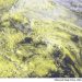 METEO AM, previsioni del tempo in Italia per il giorno 07/05/2022 METEO AM, previsioni del tempo in Italia per il giorno 07/05/2022
