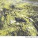 METEO AM, previsioni del tempo in Italia per il giorno 08/05/2022