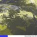 METEO AM, previsioni del tempo in Italia per il giorno 04/06/2022