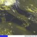 METEO AM, previsioni del tempo in Italia per il giorno 07/06/2022 METEO AM, previsioni del tempo in Italia per il giorno 07/06/2022