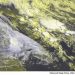 METEO AM, previsioni del tempo in Italia per il giorno 09/06/2022