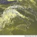METEO AM, previsioni del tempo in Italia per il giorno 25/06/2022