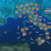 Meteo: il tempo di oggi e domani 11- 12 agosto 2022