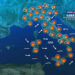Meteo di domani, previsioni Meteo di domani, previsioni