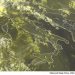 METEO AM, previsioni del tempo in Italia per il giorno 07/09/2022