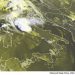 METEO AM, previsioni del tempo in Italia per il giorno 08/09/2022