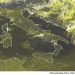 METEO AM, previsioni del tempo in Italia per il giorno 10/09/2022