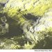 METEO AM, previsioni del tempo in Italia per il giorno 17/09/2022 METEO AM, previsioni del tempo in Italia per il giorno 17/09/2022