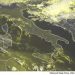 METEO AM, previsioni del tempo in Italia per il giorno 19/09/2022