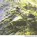 METEO AM, previsioni del tempo in Italia per il giorno 30/09/2022