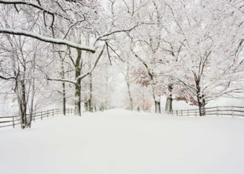 Meteo: inverno 2022-2023 è in CLAMOROSO anticipo. Prima neve ANCHE in PIANURA a FINE OTTOBRE