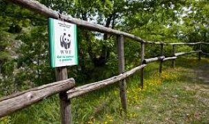Stazione meteo di CAMPOCHIARO “area faunistica OASI WWF” Stazione meteo di CAMPOCHIARO “area faunistica OASI WWF”