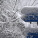 Meteo inverno 2023-2024, previsioni stagionali. Ecco dove nevicherà in pianura Meteo inverno 2023-2024, previsioni stagionali. Ecco dove nevicherà in pianura