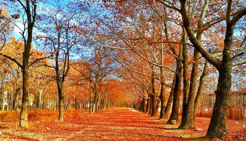 Meteo novembre