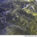 METEO AM, previsioni del tempo in Italia per il giorno 22/10/2023