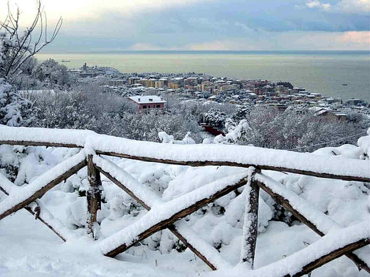 Neve