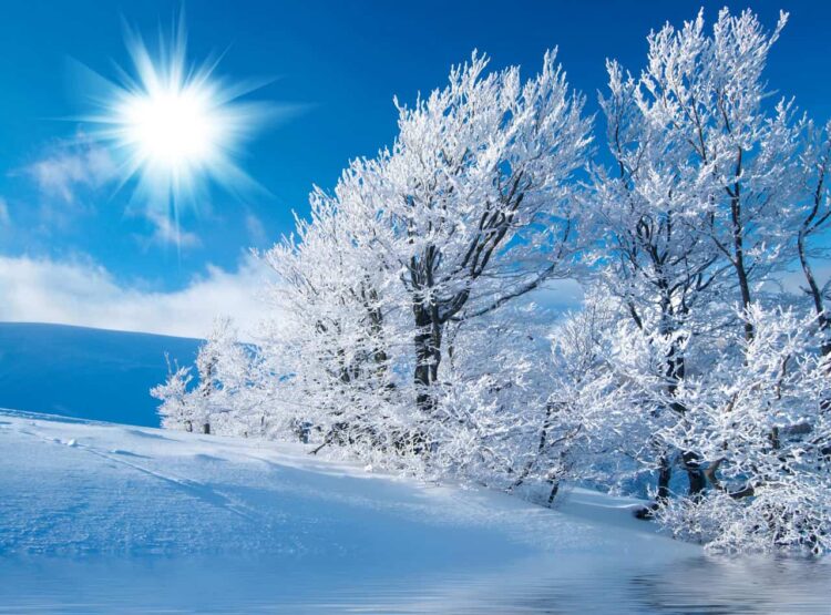 Meteo: prima ondata di GELO e NEVE artica. Ecco quando