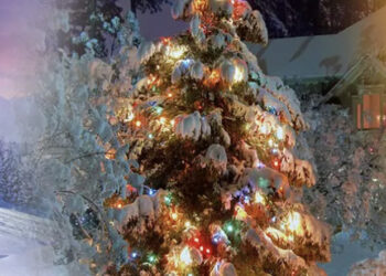 Natale 2023: meteo aggiornato. Arriva la BOMBA SIBERIANA
