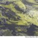 METEO AM, previsioni del tempo in Italia per il giorno 19/03/2024