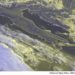 METEO AM, previsioni del tempo in Italia per il giorno 25/03/2024