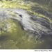METEO AM, previsioni del tempo in Italia per il giorno 29/03/2024