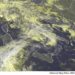 METEO AM, previsioni del tempo in Italia per il giorno 26/04/2024