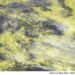 METEO AM, previsioni del tempo in Italia per il giorno 09/05/2024