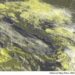 METEO AM, previsioni del tempo in Italia per il giorno 14/05/2024