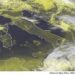 METEO AM, previsioni del tempo in Italia per il giorno 17/05/2024
