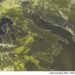 METEO AM, previsioni del tempo in Italia per il giorno 08/07/2024