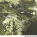 METEO AM, previsioni del tempo in Italia per il giorno 03/08/2024