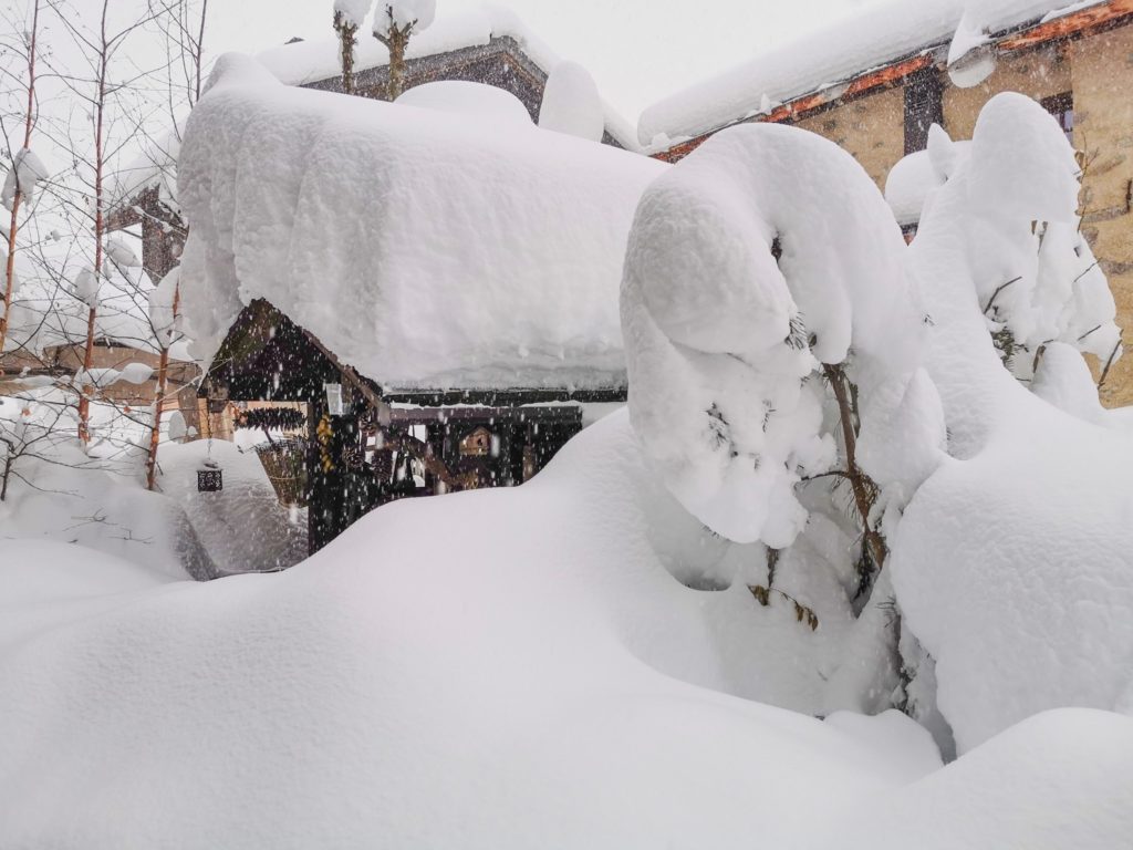 Forti. nevicate