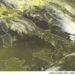 METEO AM, previsioni del tempo in Italia per il giorno 06/09/2024