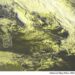 METEO AM, previsioni del tempo in Italia per il giorno 13/09/2024