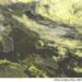 METEO AM, previsioni del tempo in Italia per il giorno 16/09/2024