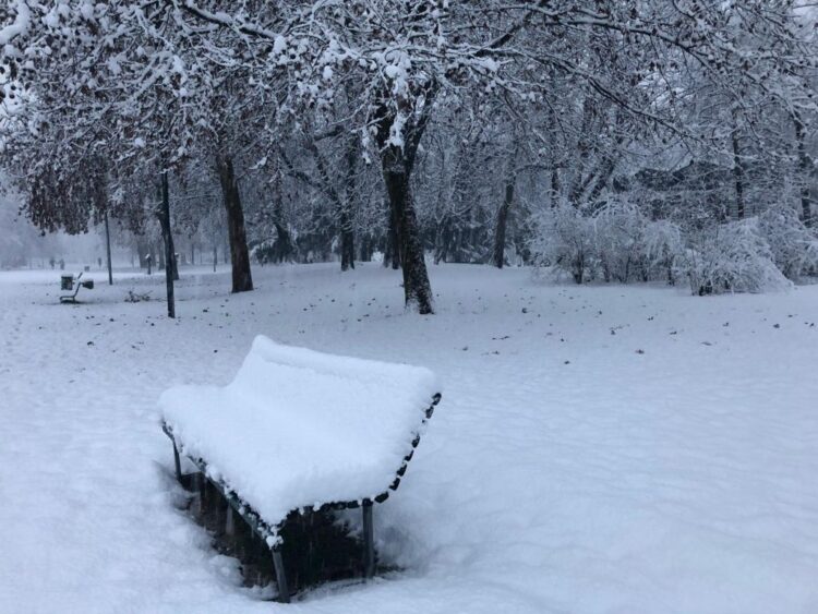 Previsioni Inverno 2024-2025: il meteo stagionale