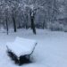 Previsioni Inverno 2024-2025: il meteo stagionale