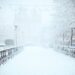 Meteo: stagionali inverno 2025. Nevoso e gelido?