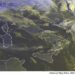 METEO AM, previsioni del tempo in Italia per il giorno 13/10/2024