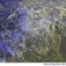 METEO AM, previsioni del tempo in Italia per il giorno 24/10/2024
