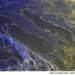 METEO AM, previsioni del tempo in Italia per il giorno 31/10/2024