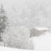 Meteo Inverno 2025: previsioni e tendenza