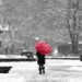 Meteo: dicembre 2024 tra burian e forte neve