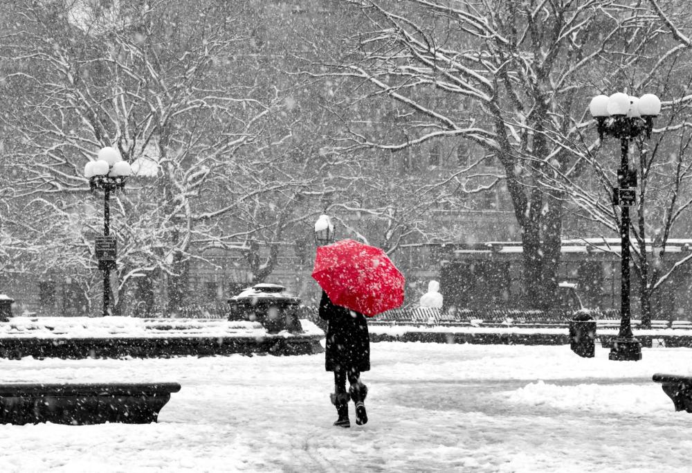 Meteo: dicembre 2024 tra burian e forte neve Meteo: dicembre 2024 tra burian e forte neve