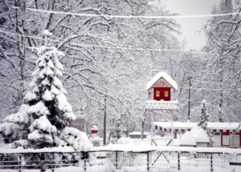 Meteo: inverno 2024-2025. Possibili nevicate a quote basse? Vediamo