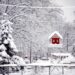 Meteo: inverno 2024-2025. Possibili nevicate a quote basse? Vediamo