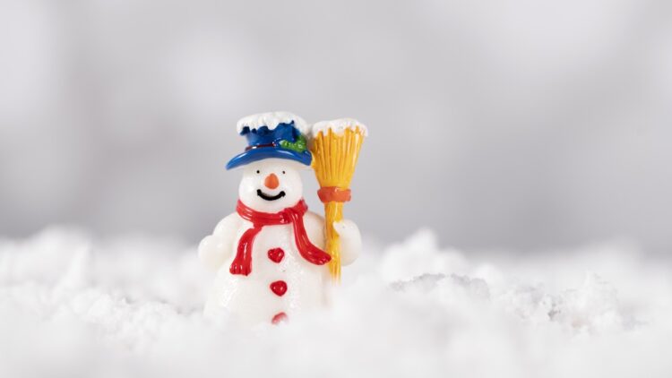 Meteo, verso un Natale 2024 freddo e nevoso? Meteo, verso un Natale 2024 freddo e nevoso?